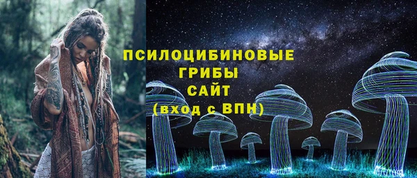 spice Бугульма