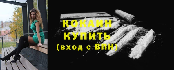 spice Бородино