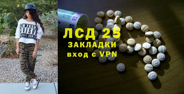 spice Бородино