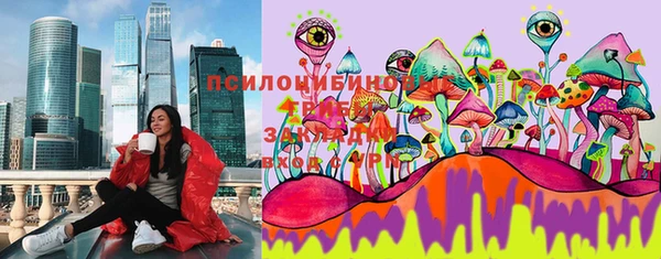 spice Бугульма