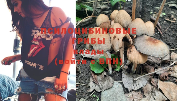 spice Бородино