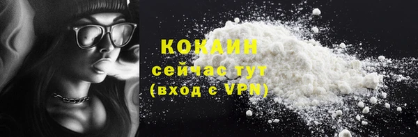 spice Бородино