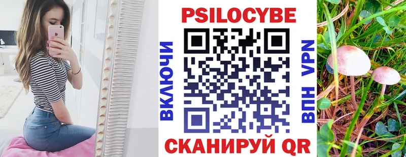 Галлюциногенные грибы ЛСД Купить закладки Дрезна